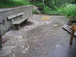 Lynetten brisk