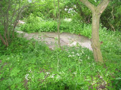 Lynetten brisk