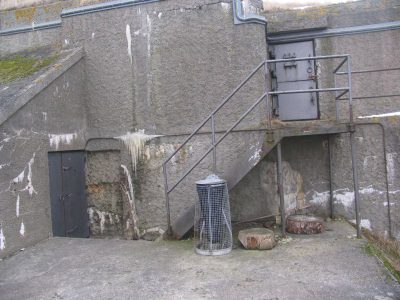 Struben