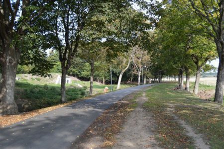 Voldgaden med plads til voldbanen