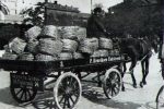 Hærloven af 1909 gav mulighed for nye forsvarsarbejder