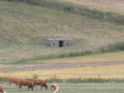 Afvikling af Tunestillingen, Vendals hule