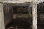 Kongelundsfort strubekaponieren