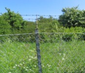 Hegnet 2012