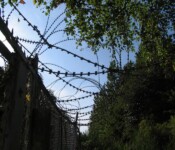 Ny pigtråd Kongelundsfortet ny pigtråd