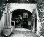 Dynamorum Dynamorum på Vestvolden