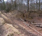 Præstesletteskansen 2014 Københavns Befæstning, Dyrehaven. Præstesletteskansen