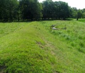 Befæstningsarbejder Befæstningsarbejder i Dyrehaven