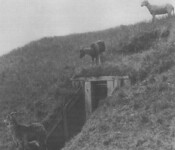 Svellerum Svellerum på Vestvolden