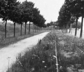 Sporene ved voldgaden Voldbanen på Vestvolden